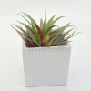 Simple white 10x 10 small square succulent ceramic flowerpot, simple and creative square green plant flowerpot Specification image